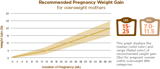 Healthy Weight Gain During Pregnancy